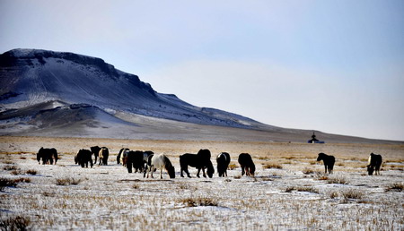 Snow-decorated north China prairie