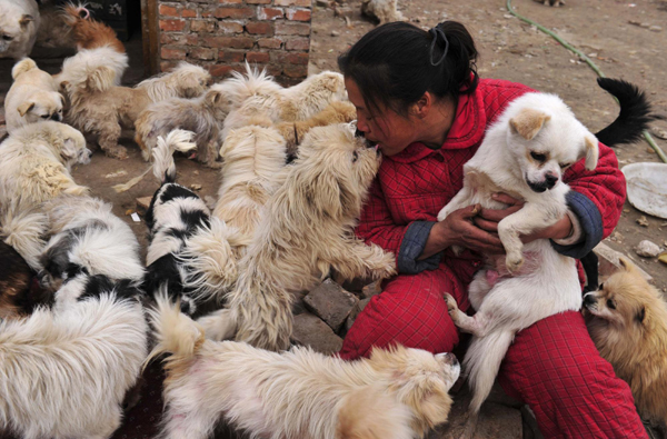 Weekly Photos: Jan 9- 15