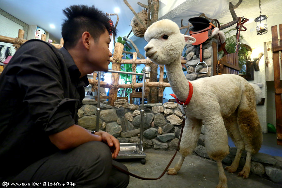 Ostentatious ways to display one's wealth