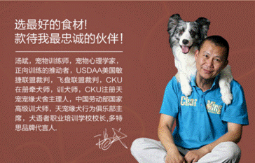 多特思——做寵物行業的規則改變者