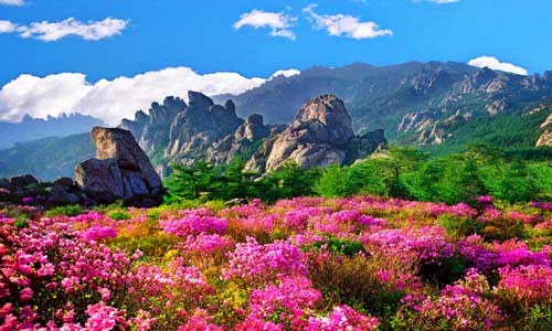 Wonderful view of Qingdao