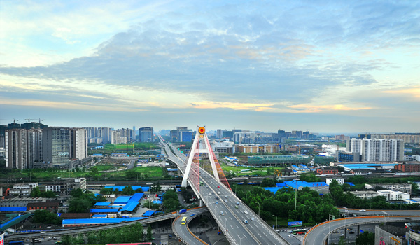 General introduction