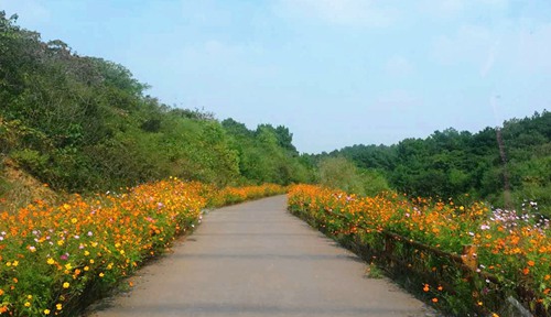 Finding serenity in Gaochun