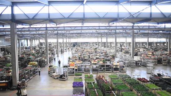 漢能將與Rooftop Energy合作在荷蘭安裝大型光伏項目