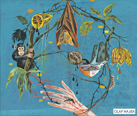 Man's intrusion in nature spurs epidemics