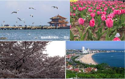 海爾帝樽空調(diào)公益行青島4成室內(nèi)PM2.5超標