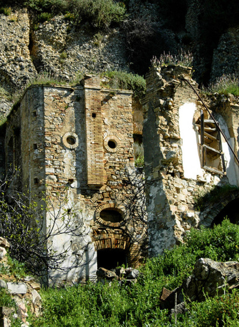 萬物有靈！看房子的豐富表情(組圖)