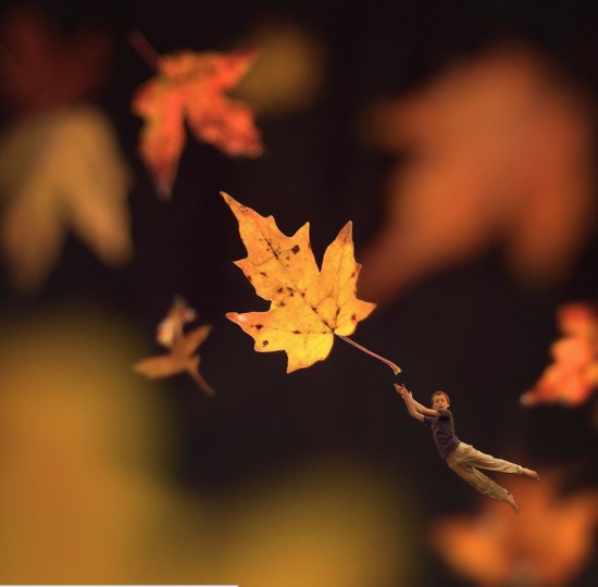 14歲天才攝影師的奇幻世界