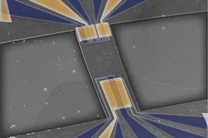 《連線(xiàn)》2013最受關(guān)注的13個(gè)科學(xué)故事