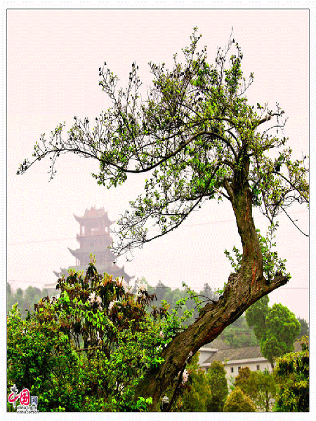 Five Dragon Hakka Customs Park in Jiangxi