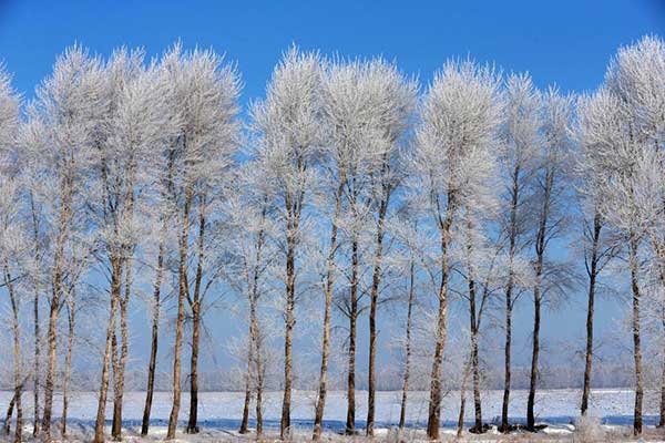 Heilongjiang's winter tourism booms despite annoying warmth