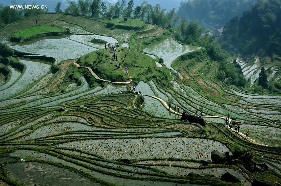 China perfects art of building terraced fields