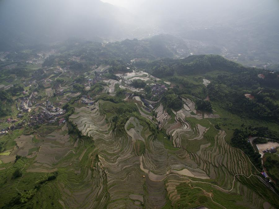 Scenery of Yunhe terrace fields in Zhejiang