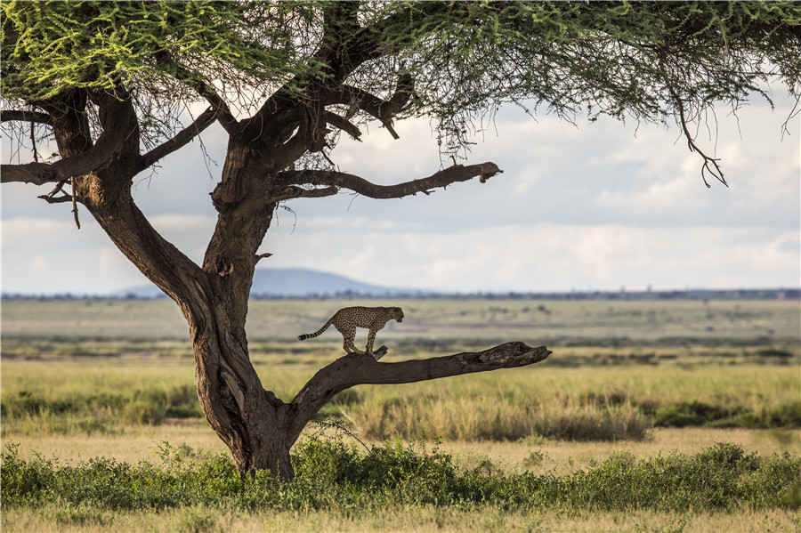 Experience a parallel world