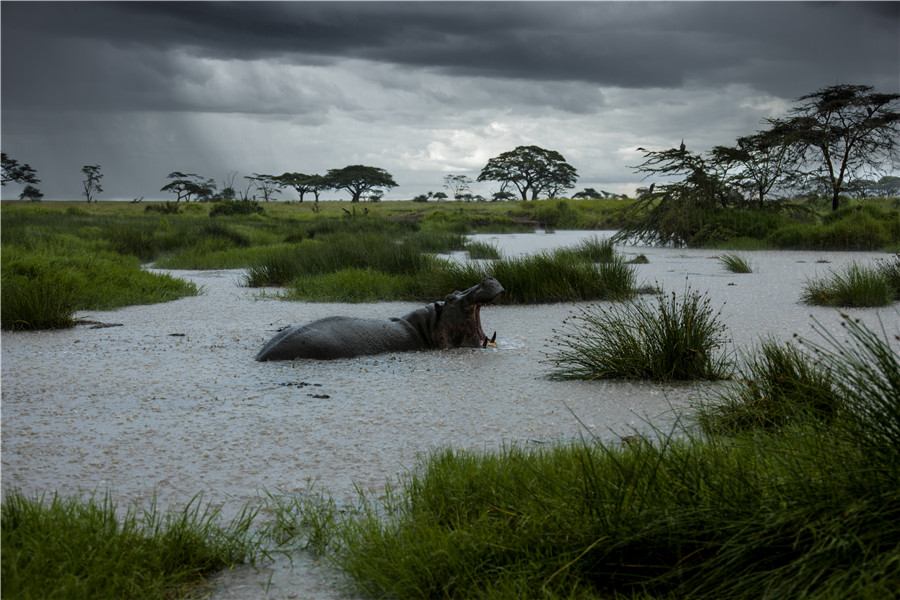 Experience a parallel world