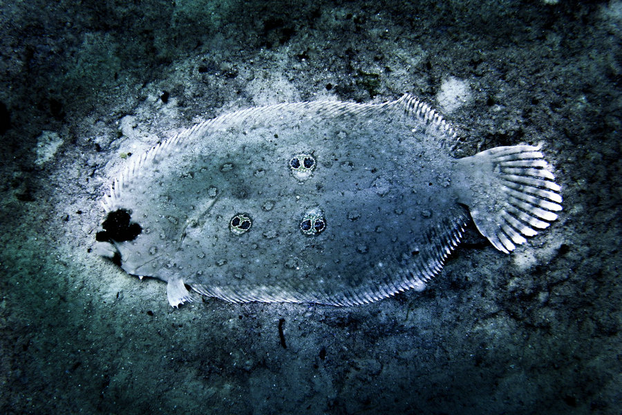 The beautiful depths