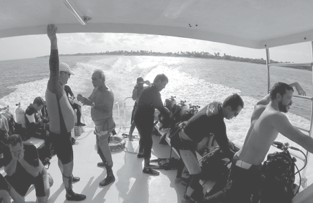 Cuba's pristine and protected coral reefs