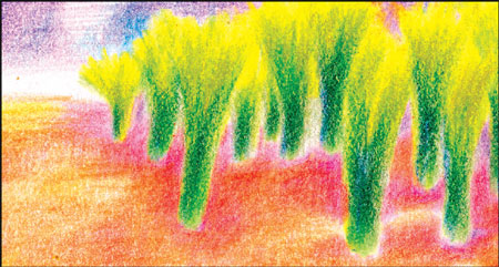 Eight bits of green wisdom for World Environment Day