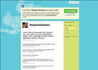 Twitter social network not just for the birds