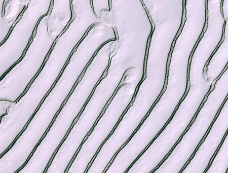 NASA's photos unveil Mars surface