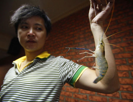 Shrimp's eye points way to better DVDs