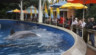 Whale kills trainer as horrified spectators watch