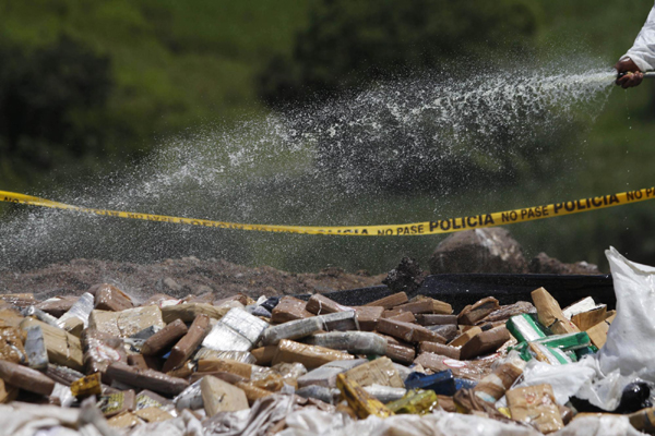 Drugs destroyed by Panama's anti-narcotics police