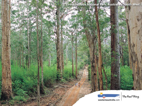 西澳大利亞：孤獨換清涼