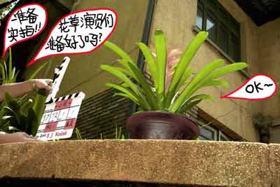 Aug. 3-7, Sunny/Rainy, Scene 2: Man-made rain falling outside