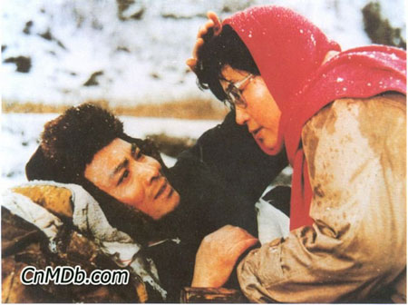 《天云山傳奇》