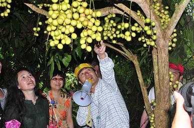 科學家版納植物園做導游