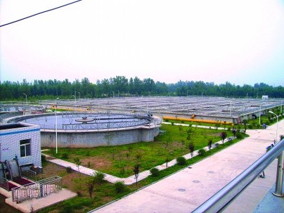 山東東明否認數(shù)萬人患甲狀腺腫瘤傳言