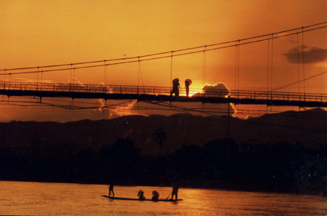 中科院西雙版納熱帶植物園暑期開展科普旅游優(yōu)惠活動