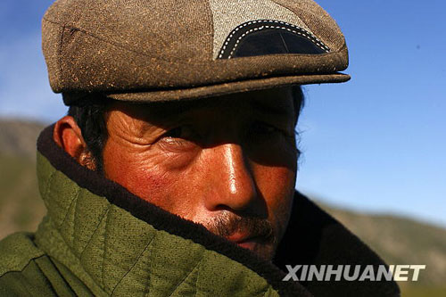 美麗的夏季草場(chǎng)[組圖]