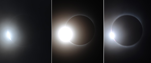 “捕捉”貝利珠[組圖]