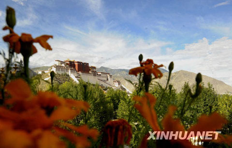 夏日拉薩美如畫[組圖]