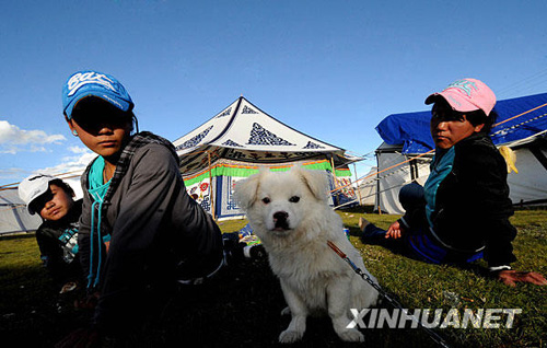 多彩的藏北牧區帳篷[組圖]