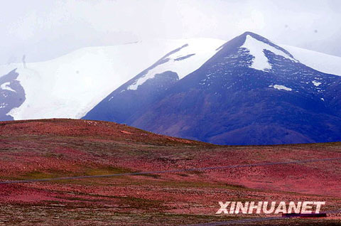 藏北無人區讓人迷醉的奇特地貌[組圖]