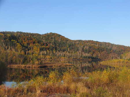 “第三屆龍江行”采訪團抵達伊春，感受“森林氧吧”