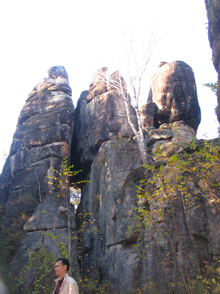 “第三屆龍江行”采訪團抵達伊春，感受“森林氧吧”