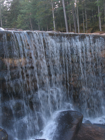 “第三屆龍江行”采訪團(tuán)抵達(dá)伊春，感受“森林氧吧”