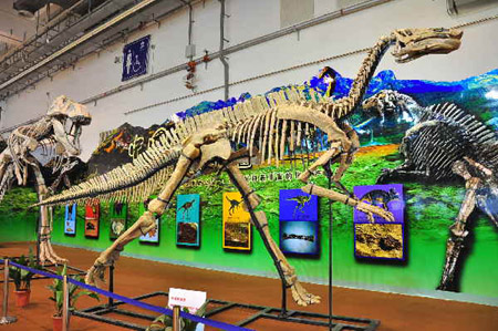 恐龍化石骨架現(xiàn)身青島濰坊周（圖）