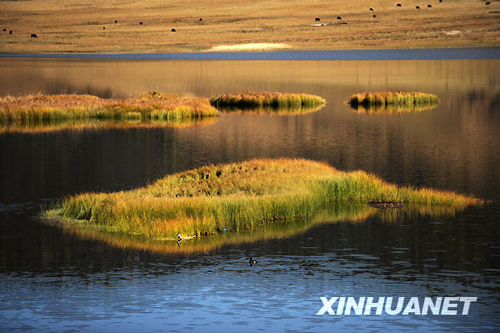 深秋秘境香格里拉