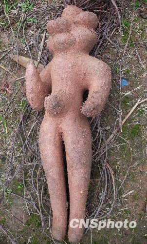 四川農民挖出酷似人形的何首烏