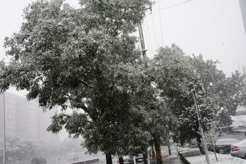 北京受降雪影響部分航班延誤 已啟動應急預案