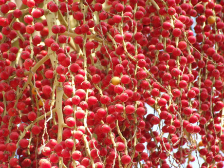 云南鳳慶縣營盤鎮見聞