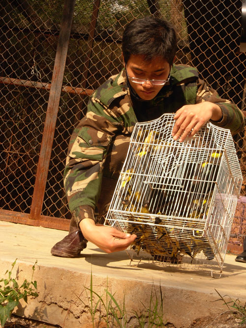 男子收購203只野鳥被抓現行(組圖)