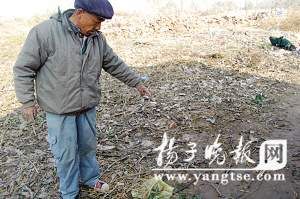 賣豆餅老太撿1700元全額歸還反成被告(組圖)